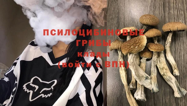 a pvp Бугульма
