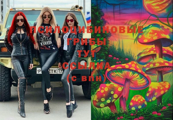 соль ск Богородицк